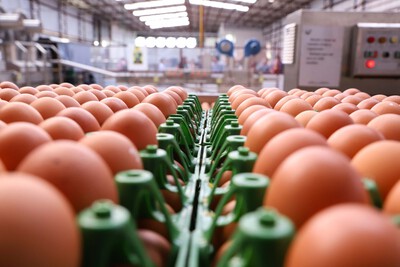 DERAL - Preço do ovo aumenta em fevereiro para produtor, atacado e varejo