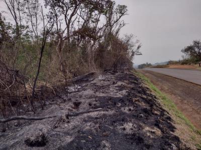 Fogo AmeaÃ§a Reserva Florestal em Rio Bonito do IguaÃ§u