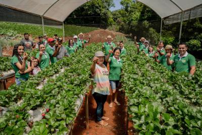 Programa do Sicredi oferece assistência técnica para produtores rurais associados