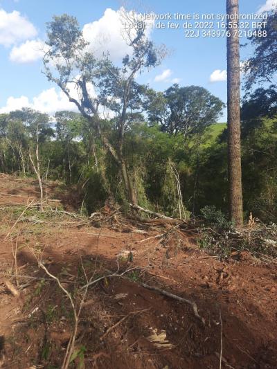 N. Laranjeiras: Policia Ambiental flagra desmatamento de reserva ambiental no Rio Quati