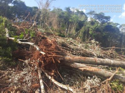 N. Laranjeiras: Policia Ambiental flagra desmatamento de reserva ambiental no Rio Quati