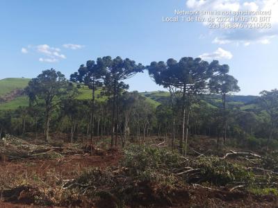 N. Laranjeiras: Policia Ambiental flagra desmatamento de reserva ambiental no Rio Quati