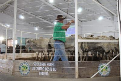 Sociedade Rural do Centro Oeste do Paraná, uma referência na produção de proteína animal 