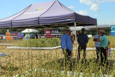 DIA DE CAMPO COPROSSEL – Novas tecnologias de sementes, tratamentos, máquinas e valorização do empreendedorismo feminino no agro