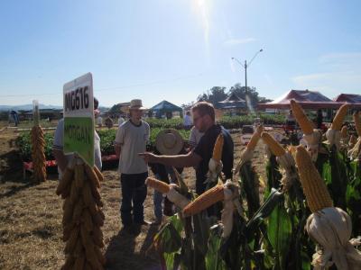 DIA DE CAMPO COPROSSEL – Novas tecnologias de sementes, tratamentos, máquinas e valorização do empreendedorismo feminino no agro