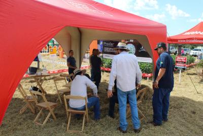 DIA DE CAMPO COPROSSEL – Novas tecnologias de sementes, tratamentos, máquinas e valorização do empreendedorismo feminino no agro