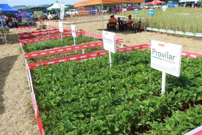 DIA DE CAMPO COPROSSEL – Novas tecnologias de sementes, tratamentos, máquinas e valorização do empreendedorismo feminino no agro