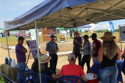 DIA DE CAMPO COPROSSEL – Novas tecnologias de sementes, tratamentos, máquinas e valorização do empreendedorismo feminino no agro