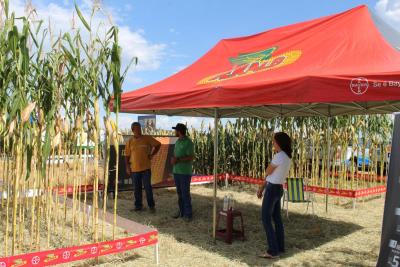 DIA DE CAMPO COPROSSEL – Novas tecnologias de sementes, tratamentos, máquinas e valorização do empreendedorismo feminino no agro