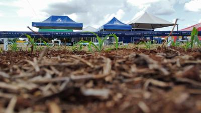 DIA DE CAMPO COPROSSEL 2023 – Alta tecnologia, inovação e valorização das mulheres do Agro