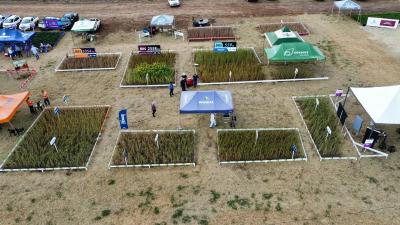 DIA DE CAMPO COPROSSEL 2023 – Alta tecnologia, inovação e valorização das mulheres do Agro