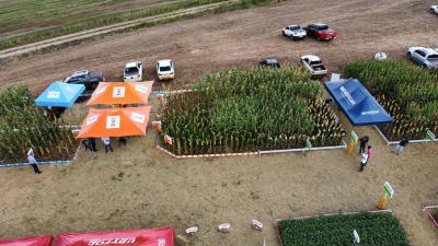 DIA DE CAMPO COPROSSEL 2023 – Alta tecnologia, inovação e valorização das mulheres do Agro