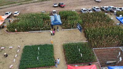 DIA DE CAMPO COPROSSEL 2023 – Alta tecnologia, inovação e valorização das mulheres do Agro