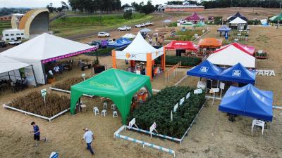 DIA DE CAMPO COPROSSEL 2023 – Alta tecnologia, inovação e valorização das mulheres do Agro