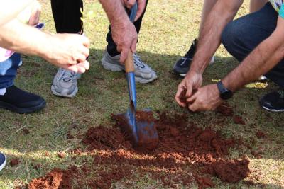 DIA C – Coprossel, Cresol e Sicoob movimentam região em ação de Sustentabilidade 