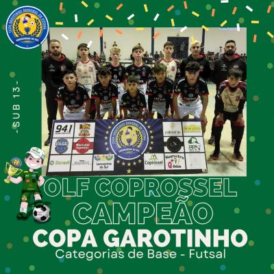 Conheça os Campeões da Copa Garotinho de Futsal Categorias de Base