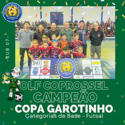 Conheça os Campeões da Copa Garotinho de Futsal Categorias de Base