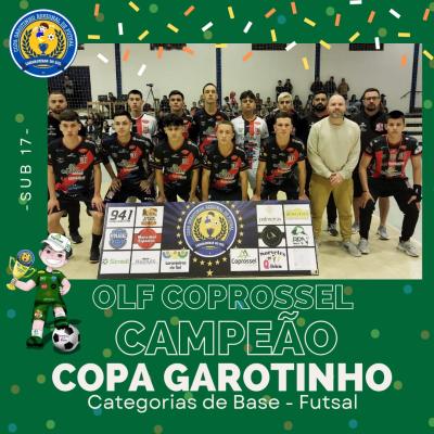 Conheça os Campeões da Copa Garotinho de Futsal Categorias de Base