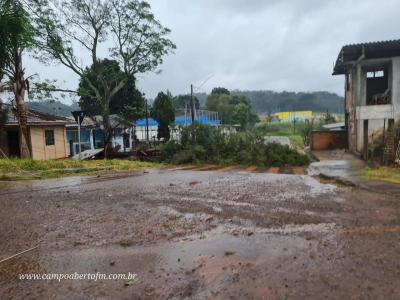 LS: Chuvas e ventos fortes causam estragos na região do Bairro Palmeiras 