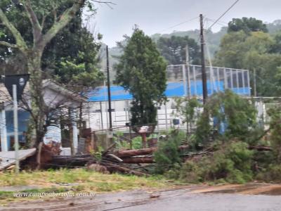 LS: Chuvas e ventos fortes causam estragos na região do Bairro Palmeiras 