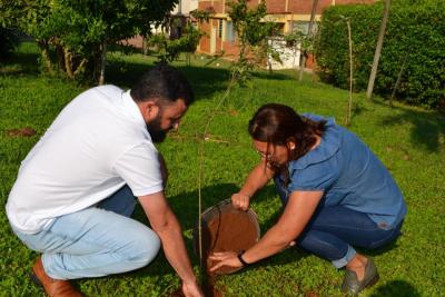 No Dia da Árvore Pastoral da Ecologia Integral realizou o plantio de mudas na Praça da Igreja Matriz Sant´Ana