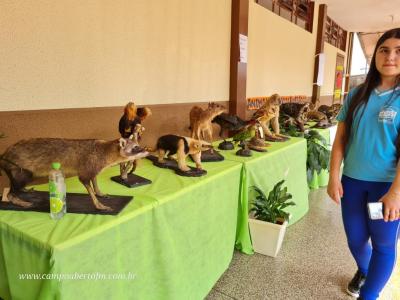 Colégio Eurico Gaspar Dutra de Virmond realiza Feira do Conhecimento