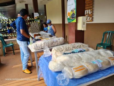 Colégio Eurico Gaspar Dutra de Virmond realiza Feira do Conhecimento