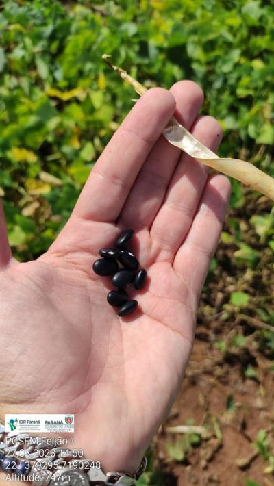 Jovem agricultor de Virmond recebe premiação na terceira edição do Orgulho da Terra 