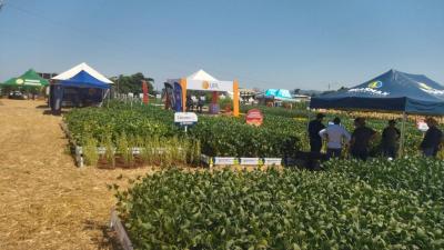 Começou o dia de Campo Coprossel no Centro de Eventos de Laranjeiras do Sul