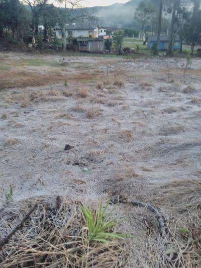 Laranjeiras e região registram baixas temperaturas e geada 