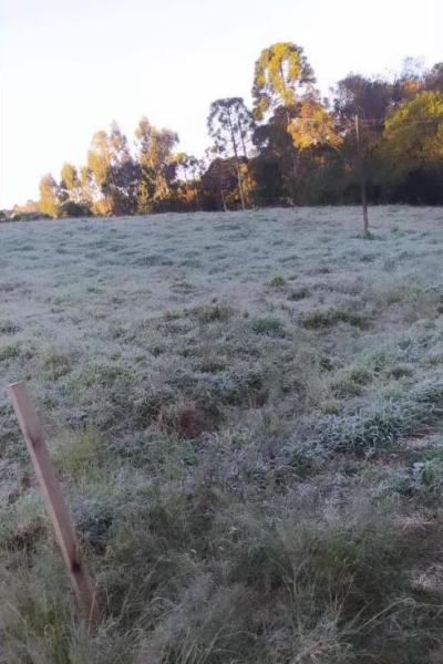 Laranjeiras e região registram baixas temperaturas e geada 