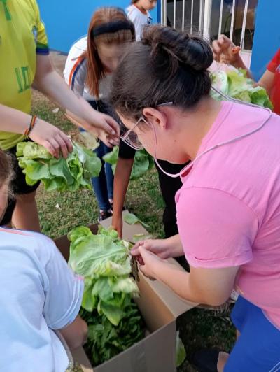 LS: Alunos do 5º Ano da Escola José Bonifácio Colhem Alfaces em Projeto de Horta Escolar