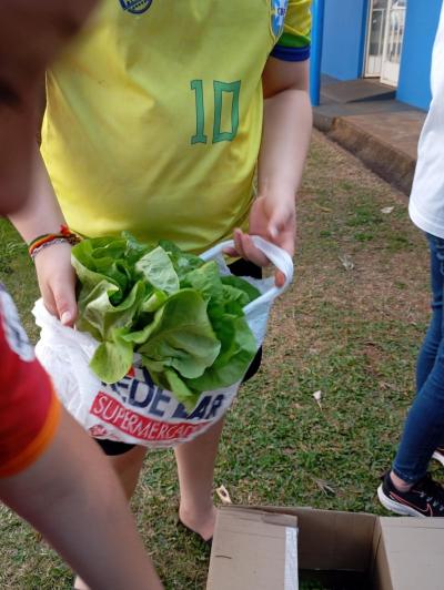 LS: Alunos do 5º Ano da Escola José Bonifácio Colhem Alfaces em Projeto de Horta Escolar