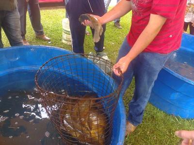 Feira do Peixe Vivo Acontece Neste Sábado no Lago Municipal de Laranjeiras do Sul