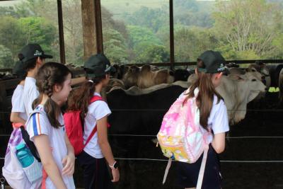 Projeto "Vivenciando a Prática" leva alunos ao dia a dia de uma propriedade rural em Rio Bonito do Iguaçu