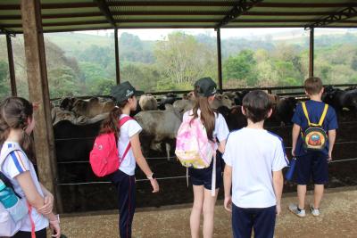 Projeto "Vivenciando a Prática" leva alunos ao dia a dia de uma propriedade rural em Rio Bonito do Iguaçu