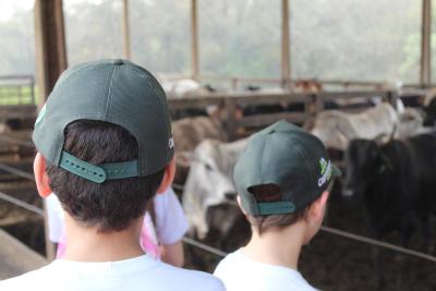 Projeto "Vivenciando a Prática" leva alunos ao dia a dia de uma propriedade rural em Rio Bonito do Iguaçu