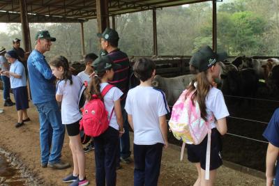 Projeto "Vivenciando a Prática" leva alunos ao dia a dia de uma propriedade rural em Rio Bonito do Iguaçu