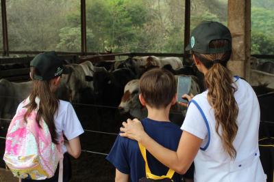 Projeto "Vivenciando a Prática" leva alunos ao dia a dia de uma propriedade rural em Rio Bonito do Iguaçu