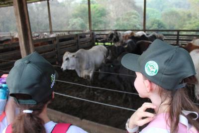 Projeto "Vivenciando a Prática" leva alunos ao dia a dia de uma propriedade rural em Rio Bonito do Iguaçu