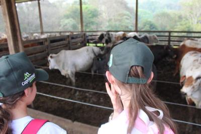 Projeto "Vivenciando a Prática" leva alunos ao dia a dia de uma propriedade rural em Rio Bonito do Iguaçu