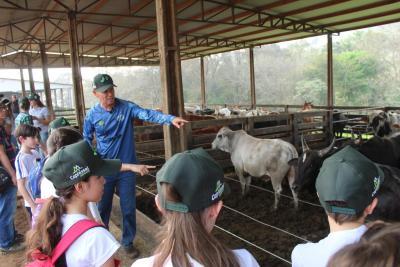 Projeto "Vivenciando a Prática" leva alunos ao dia a dia de uma propriedade rural em Rio Bonito do Iguaçu