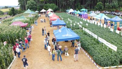 Dia de Campo Coprossel – Novidades tecnológicas, de sementes e insumos, troca de informações e oportunidades do agro 