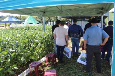 Coprossel - Dia de Campo em Porto Barreiro reuniu produtores e técnicos em prol de maiores produtividades