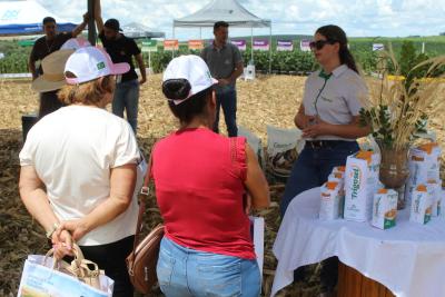 Coprossel - Dia de Campo em Porto Barreiro reuniu produtores e técnicos em prol de maiores produtividades