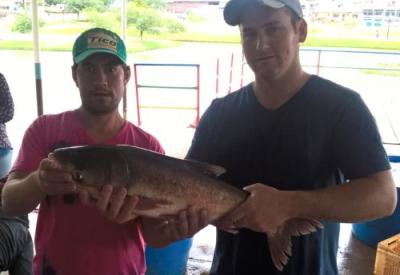 Peixe Lar realiza mais uma edição da Feira do Peixe Vivo em Laranjeiras do Sul