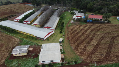 Hoje comemoramos o Dia do Agricultor, protagonista do desenvolvimento e da produção de alimentos