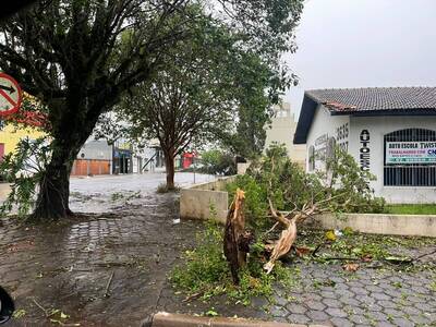 Temporal causa estragos em Laranjeiras do Sul