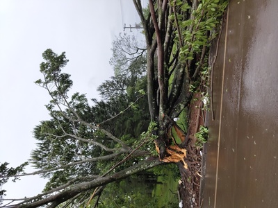 Temporal causa estragos em Laranjeiras do Sul