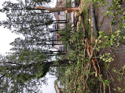 Temporal causa estragos em Laranjeiras do Sul
